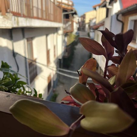 La Golondrina Daire Candeleda Dış mekan fotoğraf