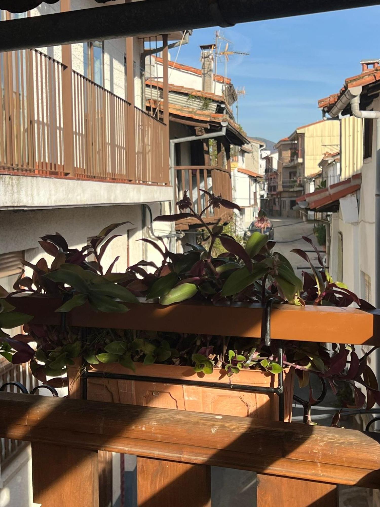 La Golondrina Daire Candeleda Dış mekan fotoğraf
