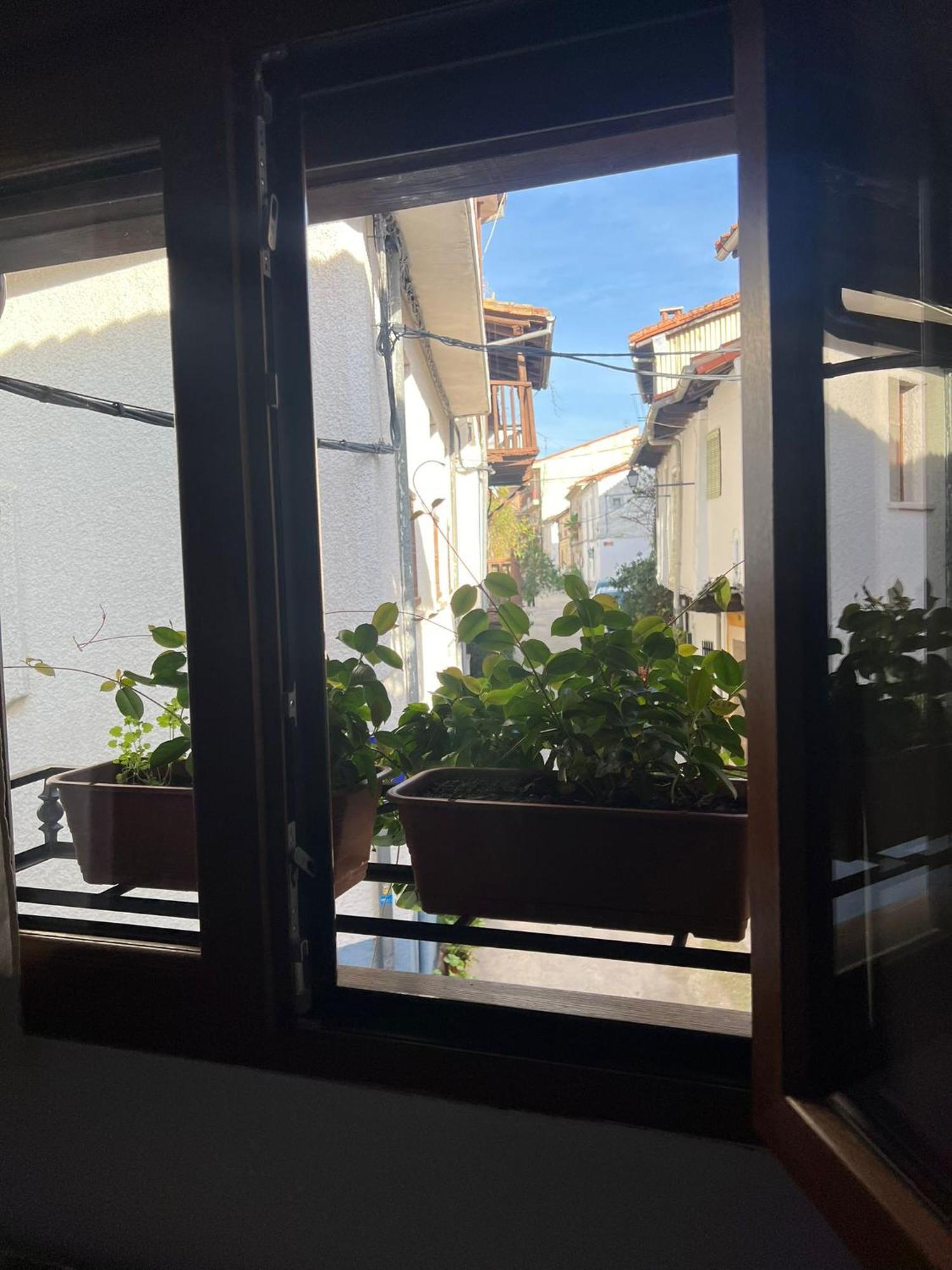 La Golondrina Daire Candeleda Dış mekan fotoğraf